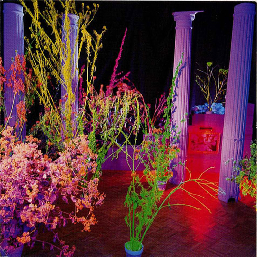 Husker Du Warehouse Songs and Stories