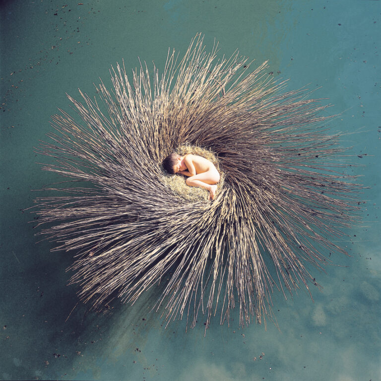 Peter Gabriel Ovo