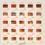 John Cale The Academy In Peril