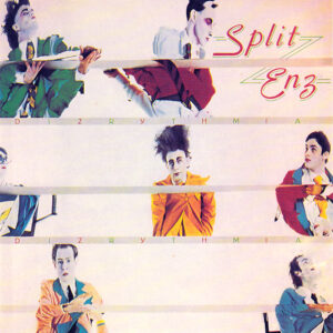 Dizrythmia Split Enz