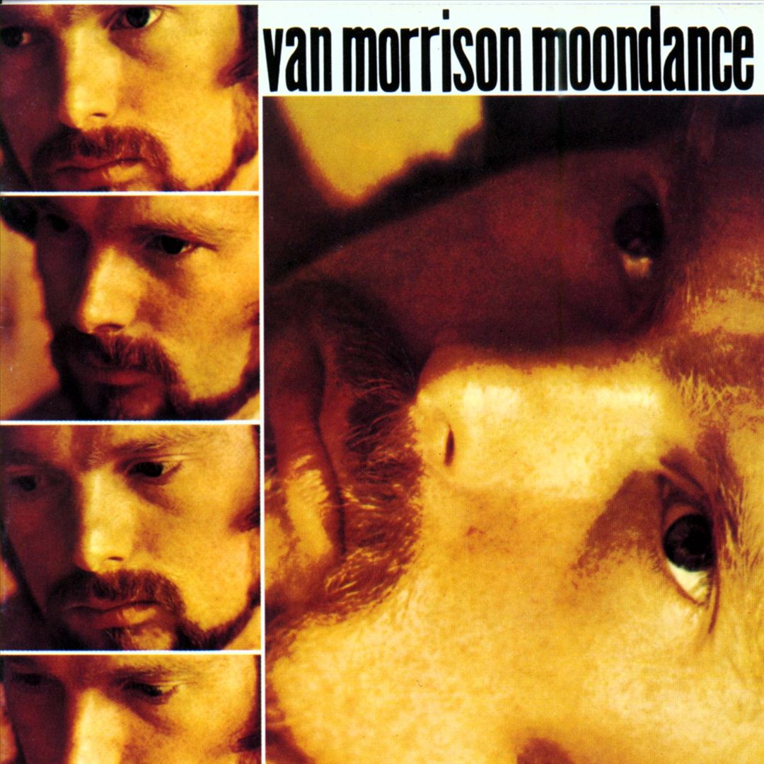 Van Morrison Moondance