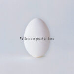 Wilco A Ghost Is Born