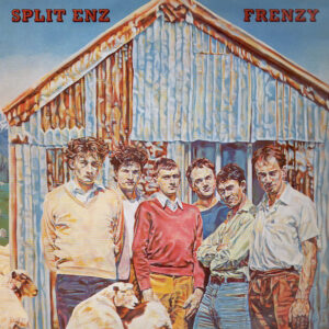 Frenzy Split Enz