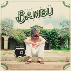 dennis-wilson-bambu