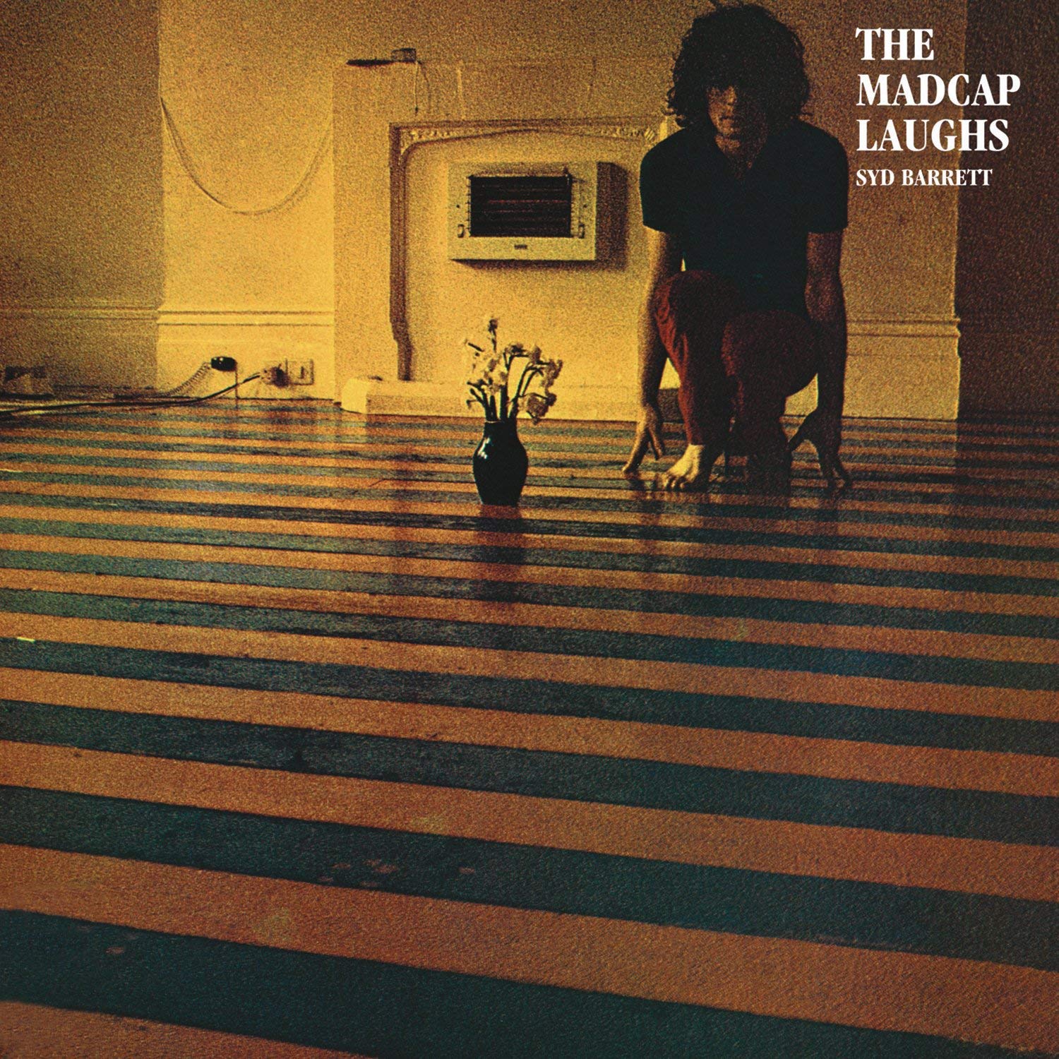 Syd Barrett Album Reviews – Aphoristic Album Reviews
