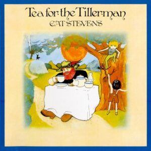 Cat Stevens Album Reviews