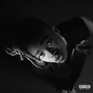 Little Simz Album Reviews