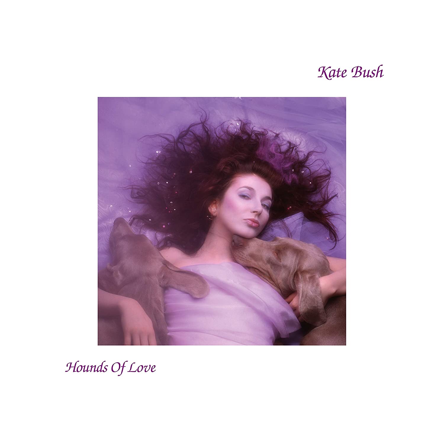 Kate Bush Album Reviews – Aphoristic Album Reviews