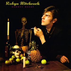 Robyn Hitchcock Album Reviews